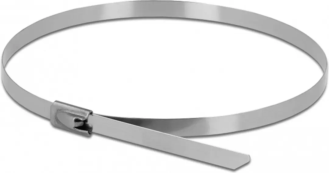 Delock Roestvrijstalen Kabelbinders 500x4.6mm - 10 Stuks