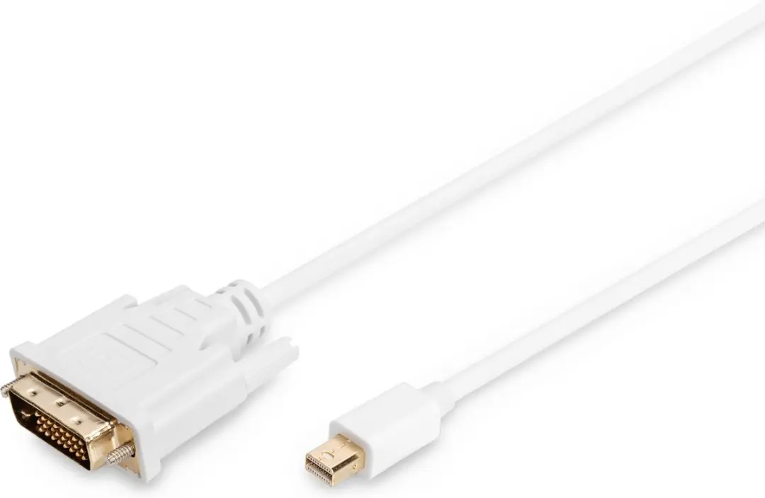 Digitus DisplayPort Mini naar DVI-D Kabel 24,5cm