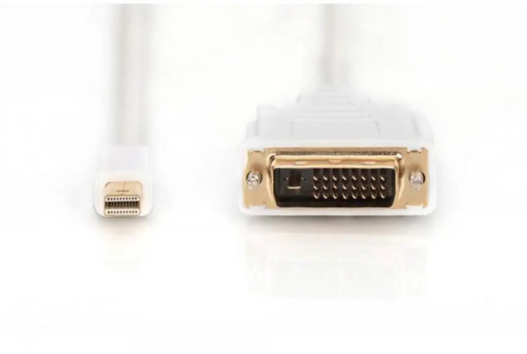 Digitus DisplayPort Mini naar DVI-D Kabel 24,5cm - Wit