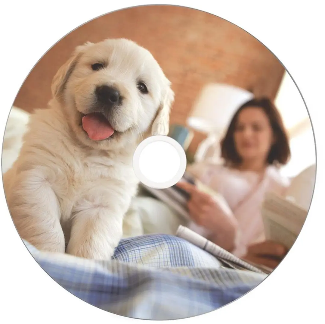 Verbatim DVD+R Dual Layer 8,5GB - 50 Stuks