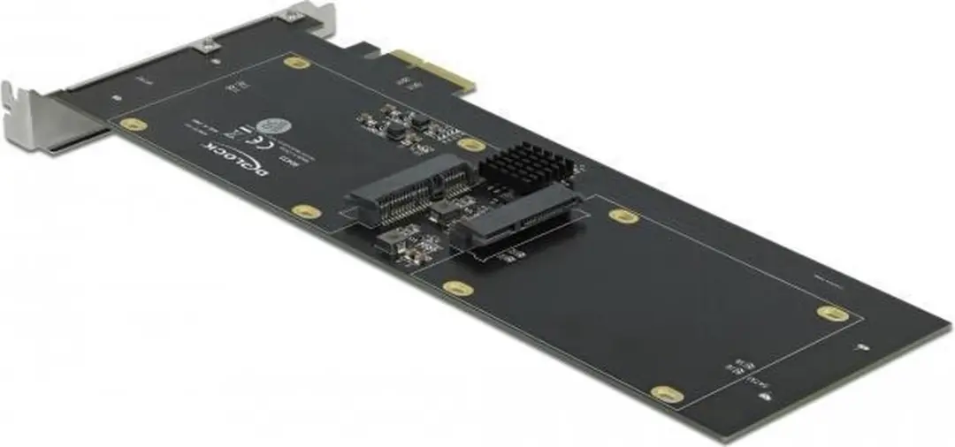 Delock PCIe x2 Kaart 4x SATA HDD/SSD - RAID - Zwart
