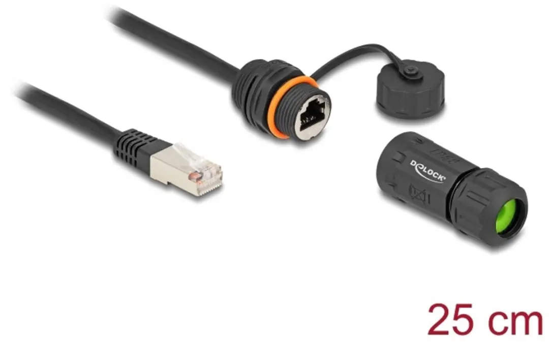 Delock RJ45 Cat.6A M20 IP68 Kabel 25cm