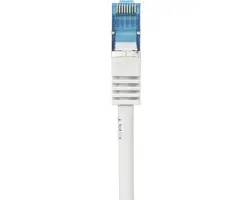 Renkforce RF-4145280 Netwerkkabel CAT 6A S/FTP 0.5m - Grijs