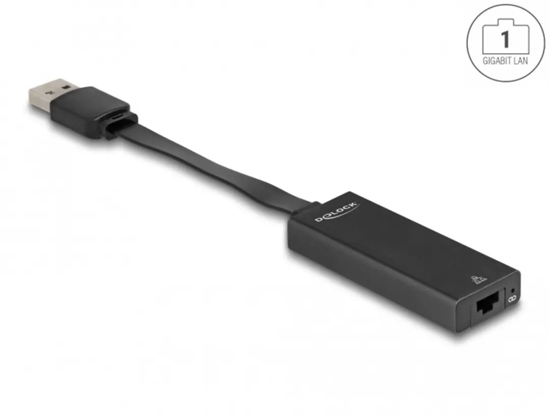 Delock USB Type-A naar Gigabit LAN Adapter - Zwart