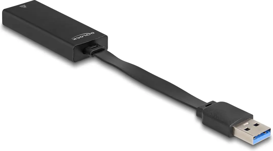 Delock USB Type-A naar Gigabit LAN Adapter - Zwart