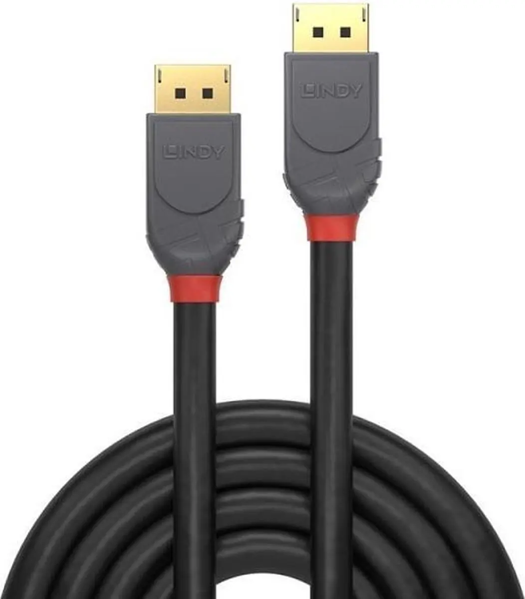 Lindy 36481 DisplayPort-kabel 8K - 1m - Zwart