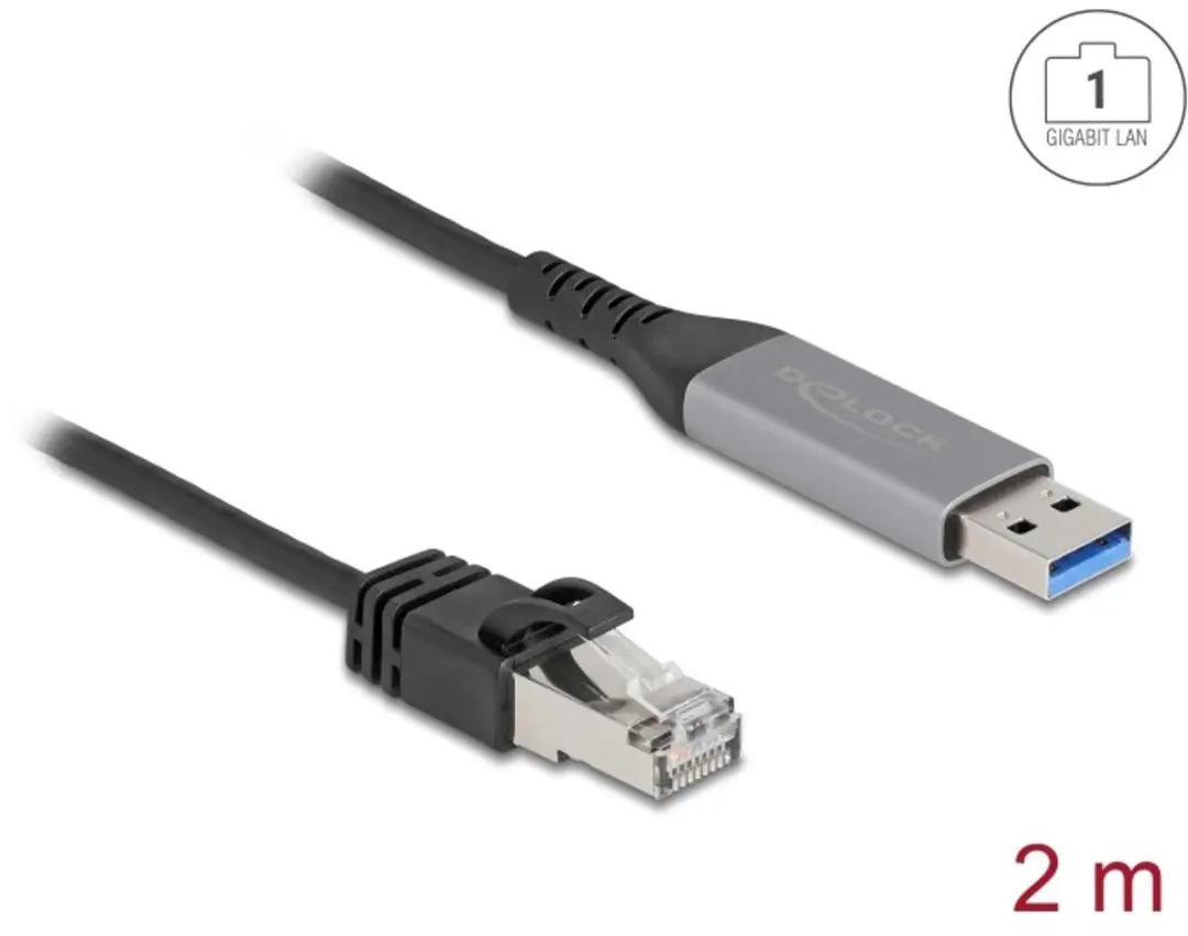Delock USB LAN Kabel Type-A naar RJ45 2m