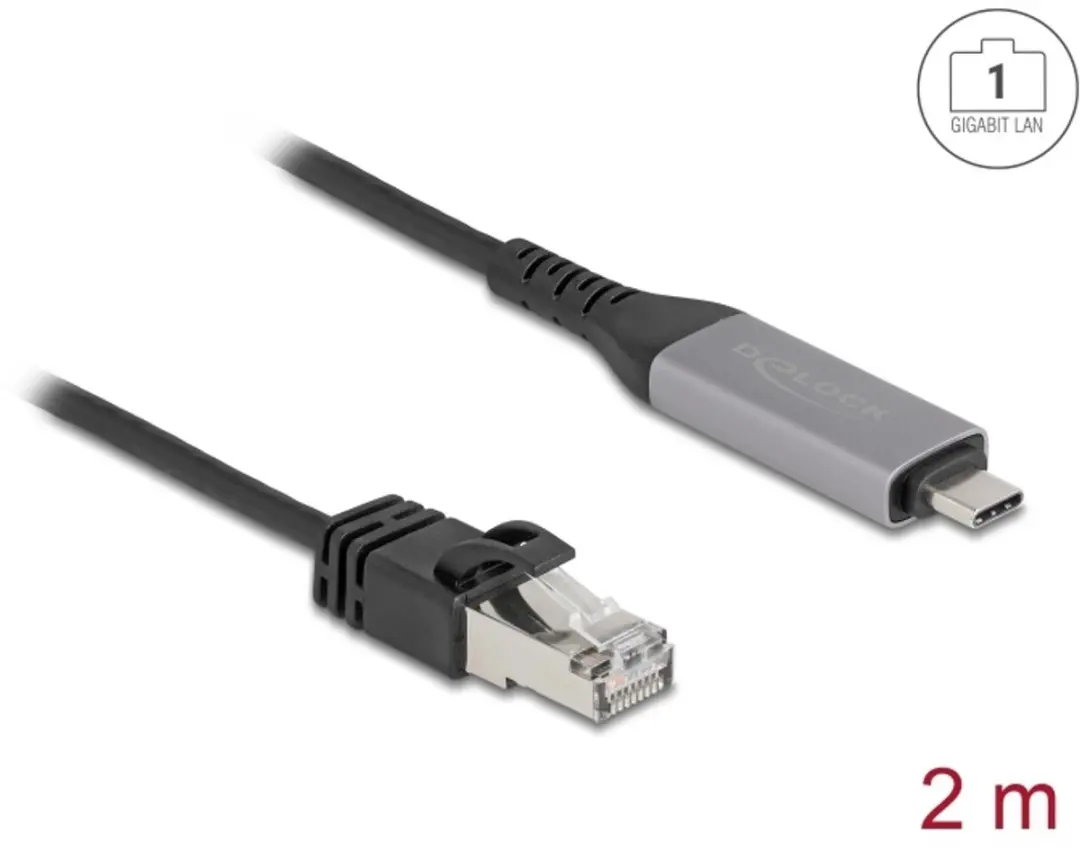 Delock USB-C naar RJ45 Gigabit Ethernetkabel 2m