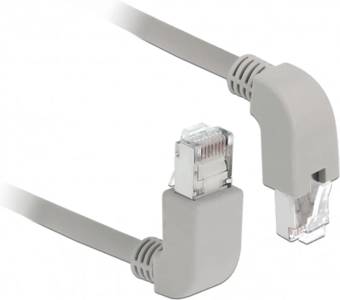 Delock S/FTP CAT6a Netwerkkabel 10Gbps