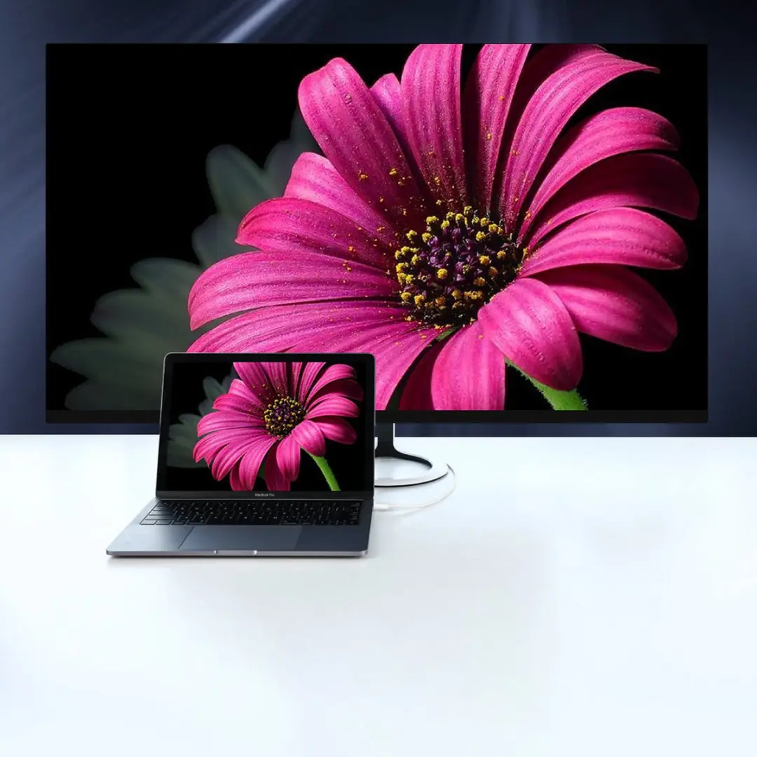 UGREEN USB-C naar DisplayPort 4K Adapterkabel 1,5m - MM139