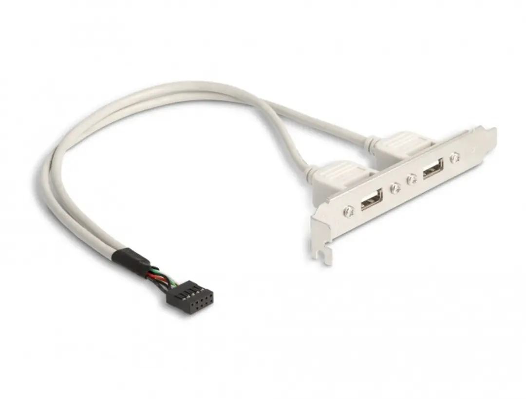 Delock USB 2.0 A Female naar A Female Kabel 0.3m