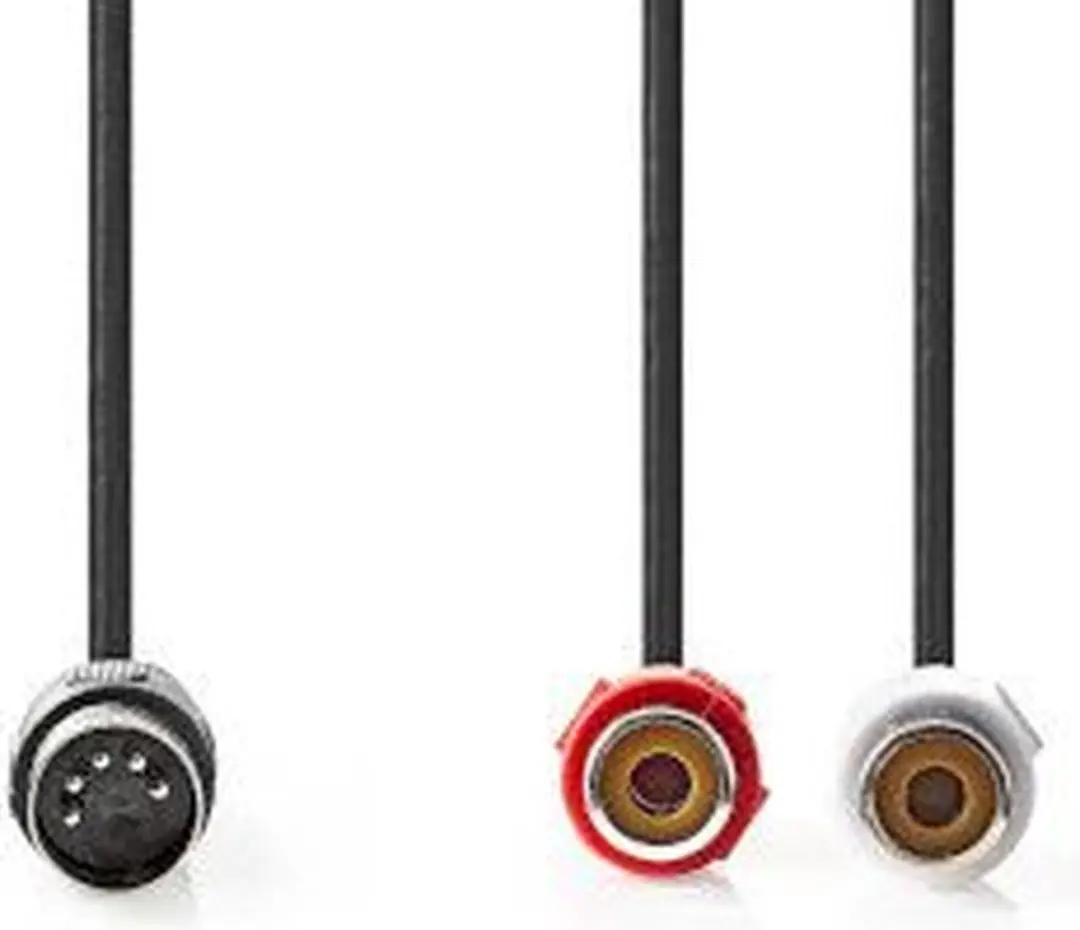 Nedis DIN-Audiokabel CAGP20250BK02 - 2x RCA - 0,20m - Zwart