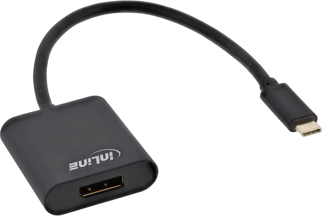 InLine USB-C naar DisplayPort Converter 64102B