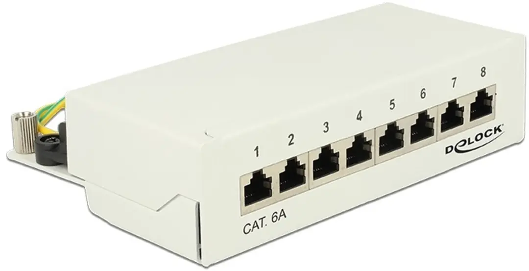 Delock CAT6a Patchpanel 1U 8 Poorten