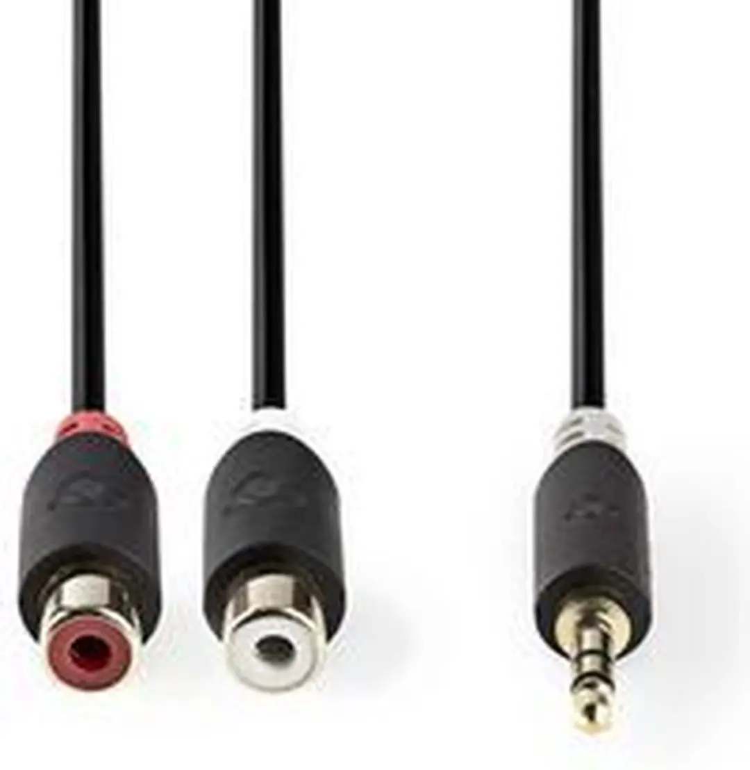 Nedis Stereo-Audiokabel 3,5mm Male - 2x RCA Female 0,2m - Verguld - Antraciet