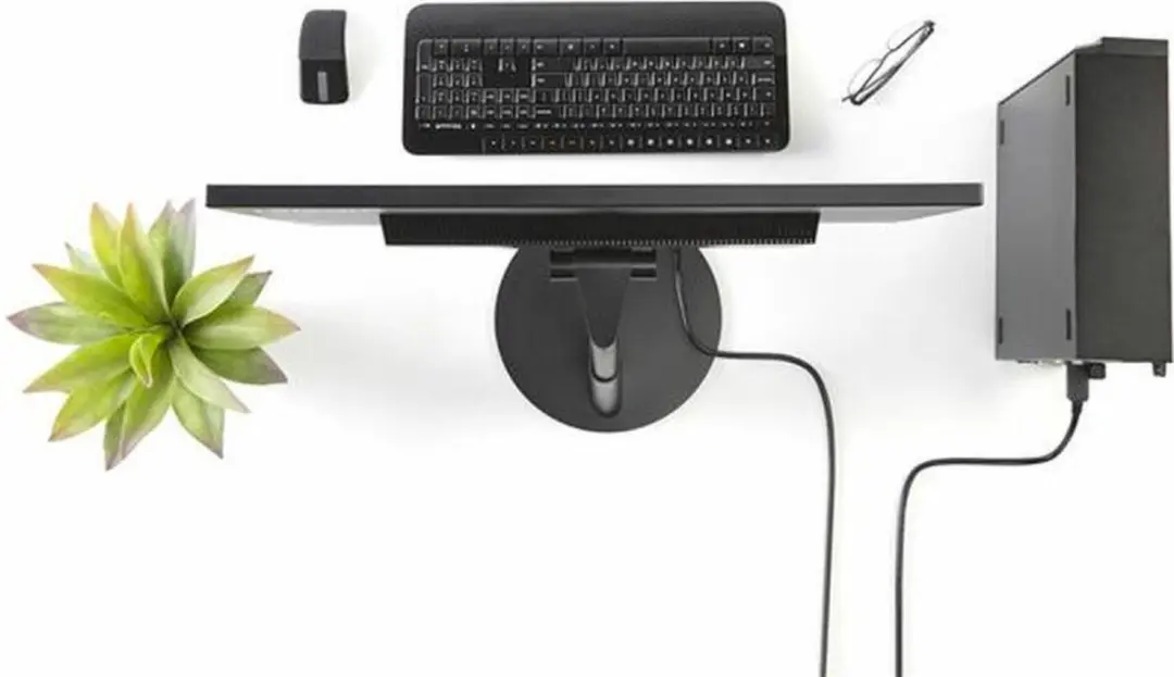 Startech DP2DVI2MM6 DisplayPort naar DVI Kabel - 1,8m - Zwart