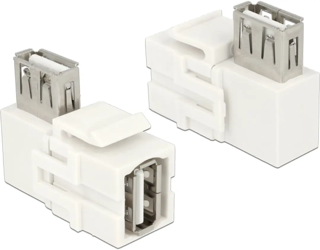 Delock Keystone USB2.0 Module