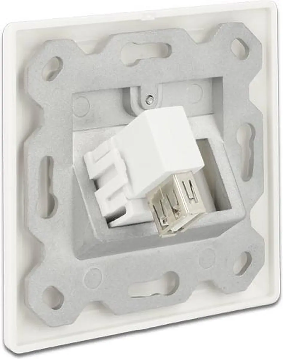 Delock Keystone USB2.0 Module - Wit - Haaks