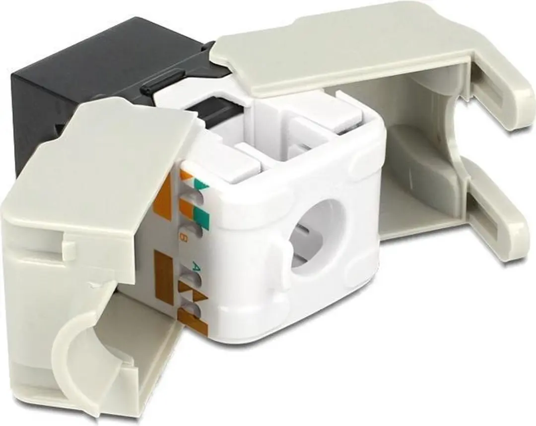 Delock UTP CAT6 Keystone Module RJ45 - LSA - Zwart