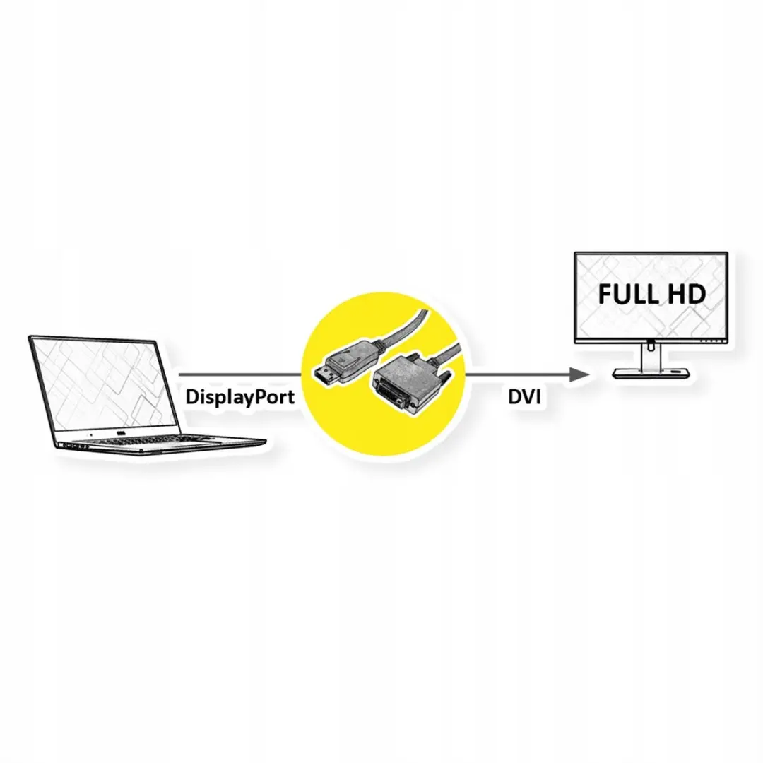 Roline DisplayPort naar DVI Kabel 3m - M/M