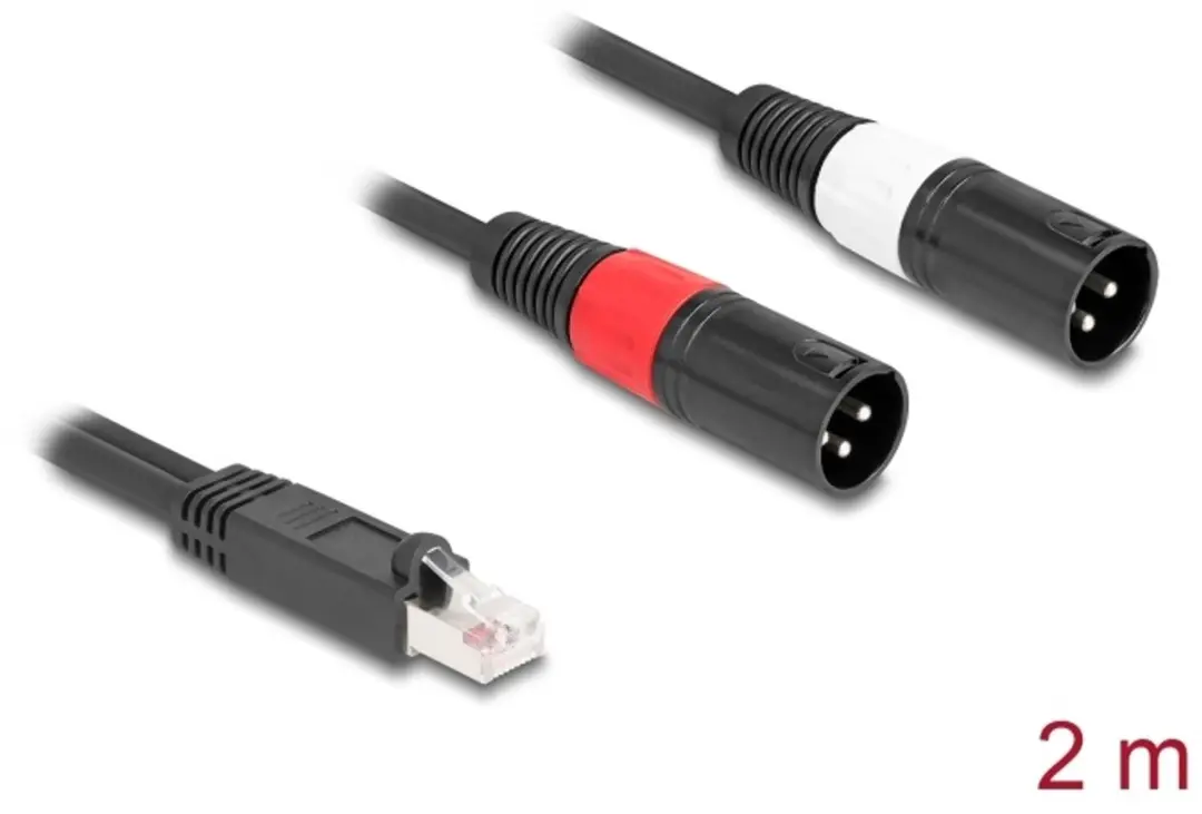 Delock RJ45 naar 2x XLR 3-pin Adapterkabel