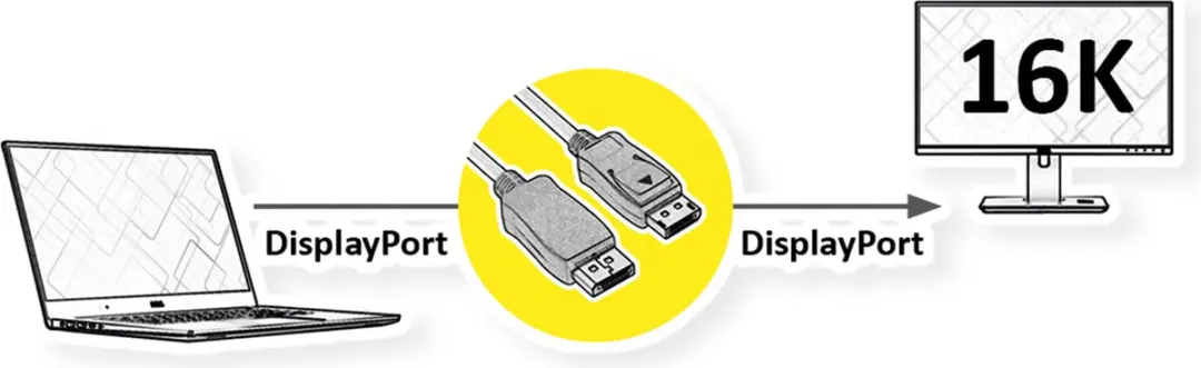 Roline DisplayPort-kabel 16K v2.1 DP M-M 1m - Zwart