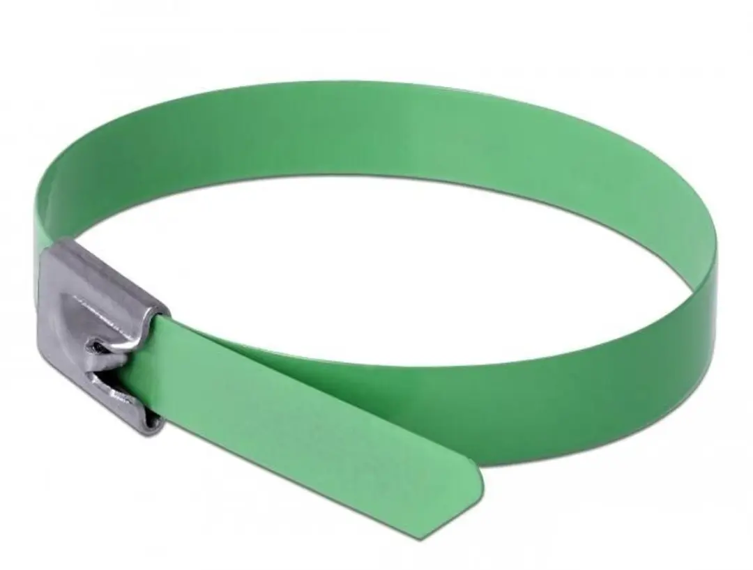 Delock Roestvrijstalen Kabelbinders 300x7,9mm - Groen - 10 Stuks