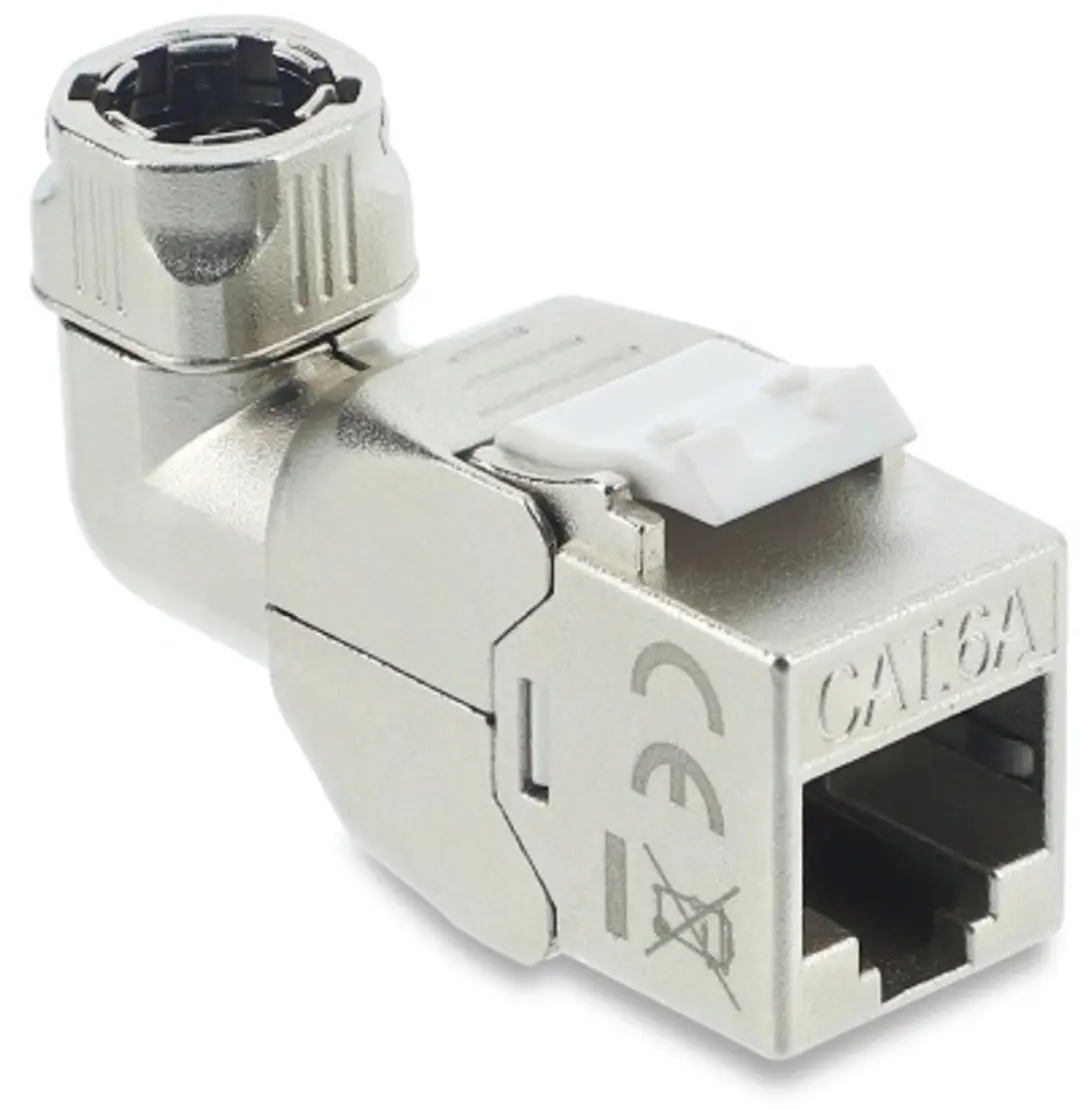 Delock Keystone Module RJ45 LSA Cat.6A 90° Roestvrijstaal