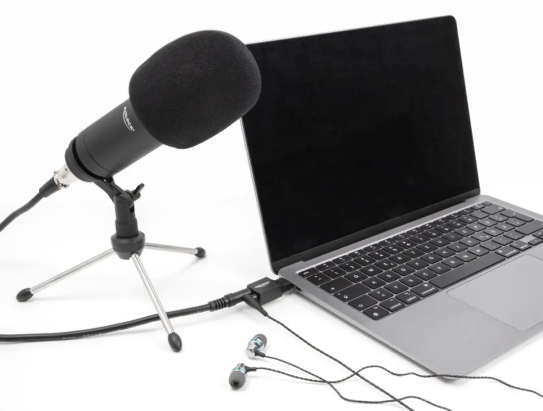 Delock USB Soundkaart Type-C naar 2x 3.5mm - Zwart