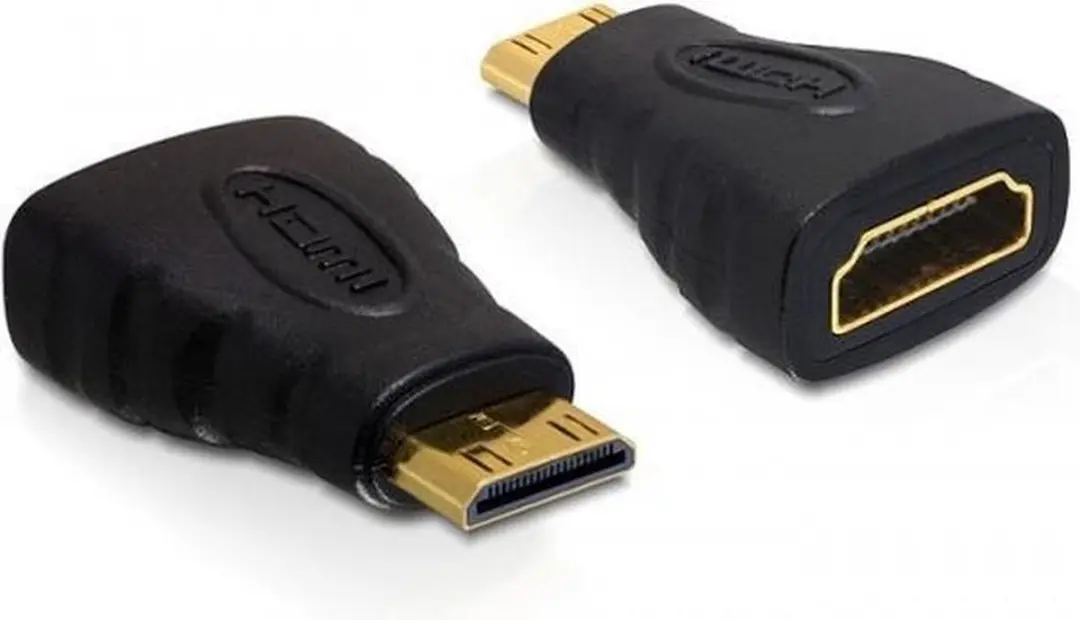 Delock HDMI C male naar A female Adapter - Zwart