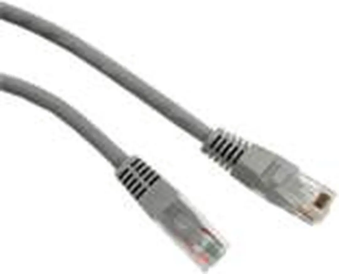 Ewent IM6002 Netwerkkabel Cat5e U/UTP 2m