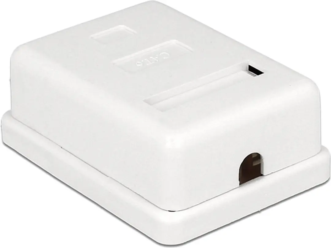 Delock CAT6 Netwerkuitvoerdoos 1x RJ45 - Wit