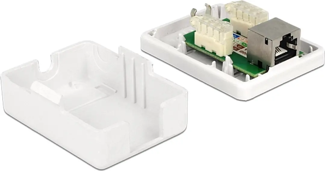 Delock CAT6 Netwerkuitvoerdoos 1x RJ45 - Wit