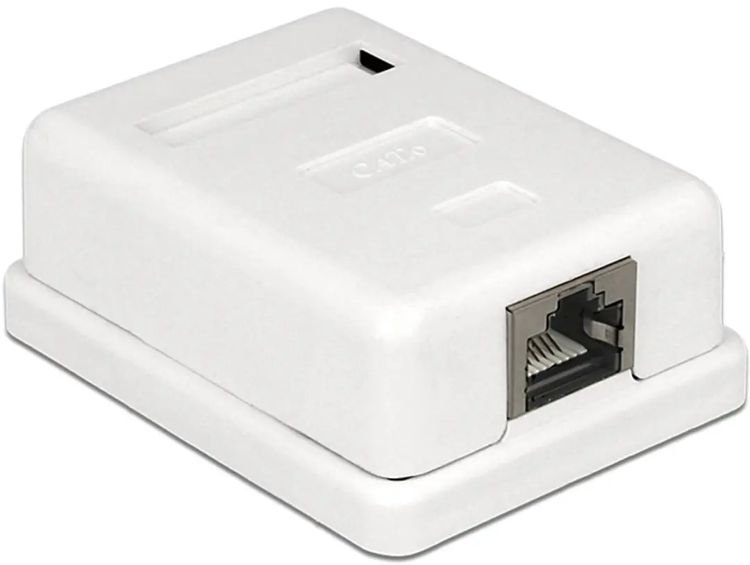 Delock CAT6 Netwerkuitvoerdoos 1x RJ45