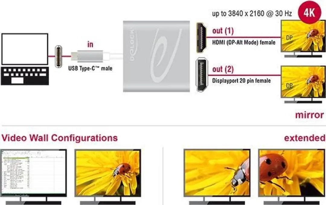Delock USB-C naar HDMI/DisplayPort Splitter DP Alt Mode 4K 30Hz - 0,10m