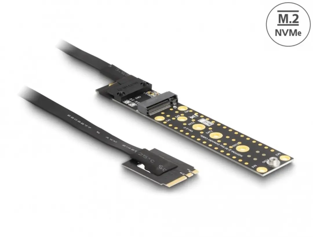 Delock Riserkaart NVMe M.2 Key A+E naar Key M - 20cm - Zwart