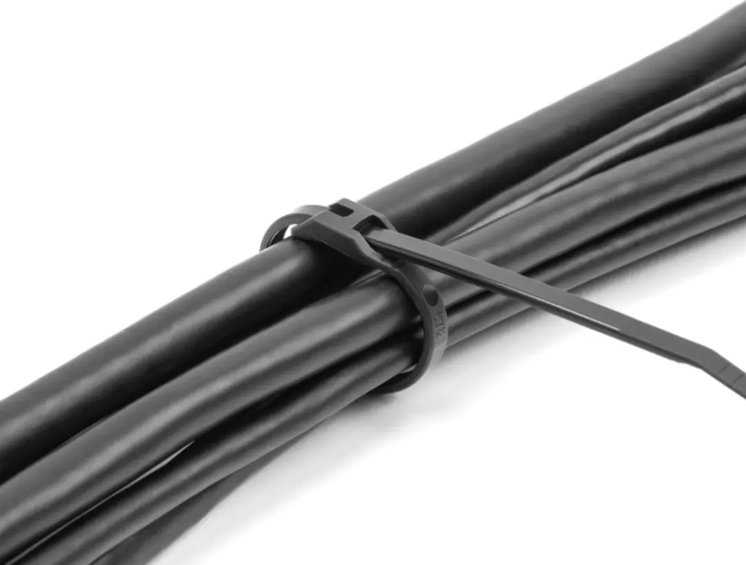 Delock Kabelbinders 110x2.5mm - 100 Stuks - Zwart