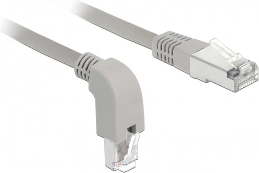 Delock S/FTP CAT6a Netwerkkabel 10Gbps