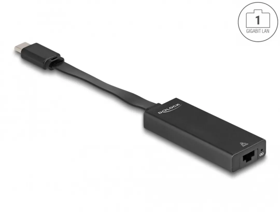 Delock USB-C naar Gigabit LAN Adapter 66246