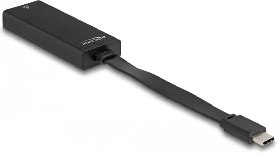 Delock USB-C naar Gigabit LAN Adapter 66246 - Zwart