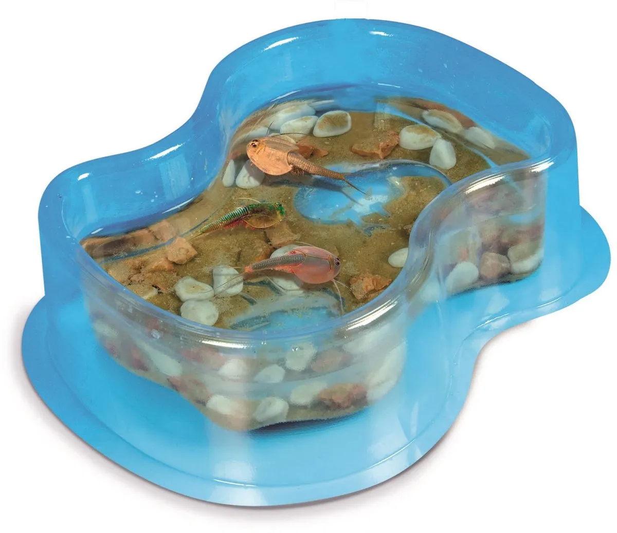 Clementoni Kweek je eigen Triops Experimenteerdoos 66027