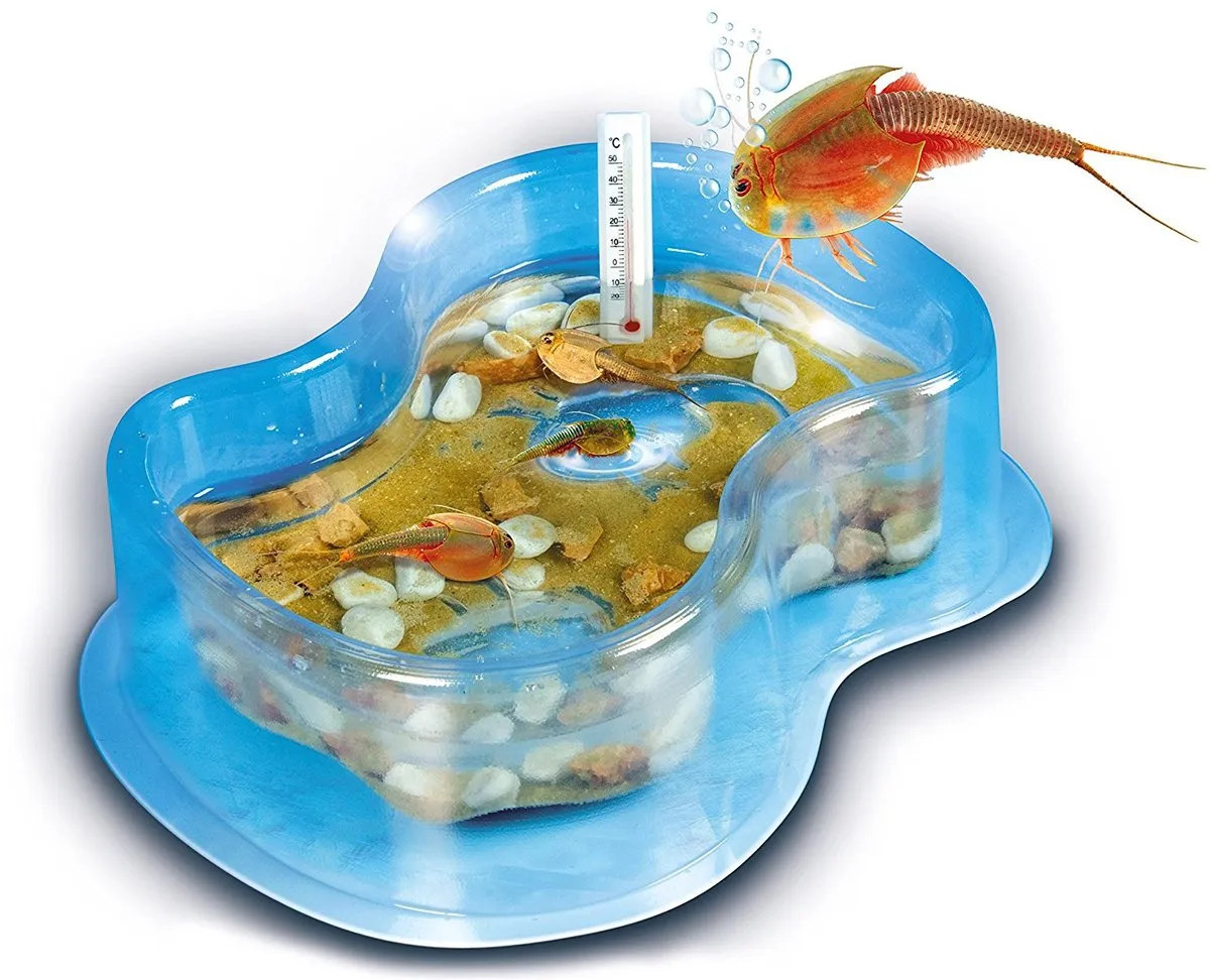 Clementoni Kweek je eigen Triops Experimenteerdoos 66027 - afbeelding 6 van 6