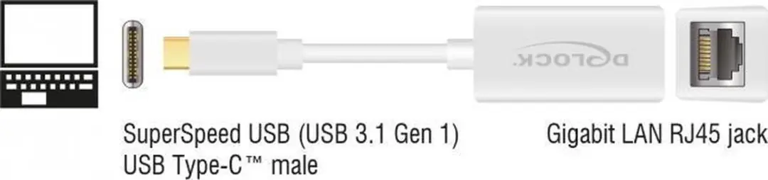 Delock USB-C naar RJ45 Gigabit Ethernet Adapter - Wit