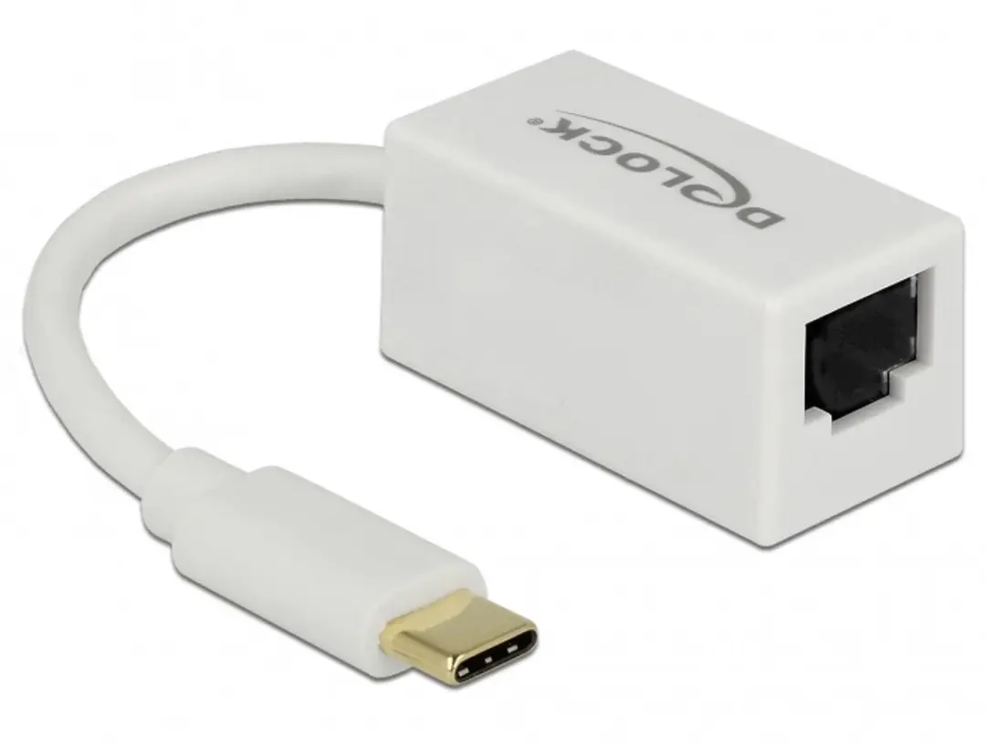 Delock USB-C naar RJ45 Gigabit Ethernet Adapter