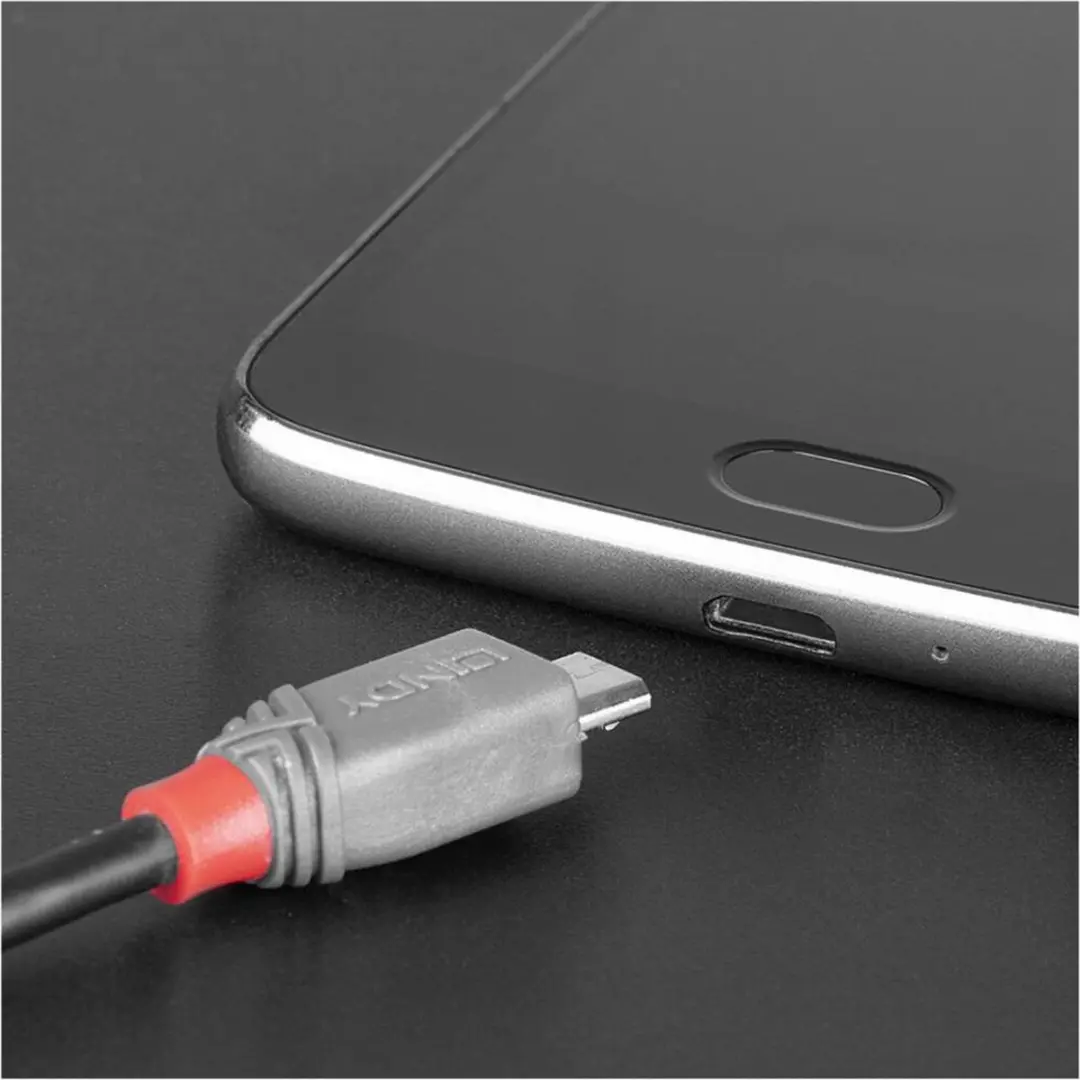 Lindy USB 2.0 USB-C naar USB-micro-B Kabel 0.5m - Zwart/Grijs