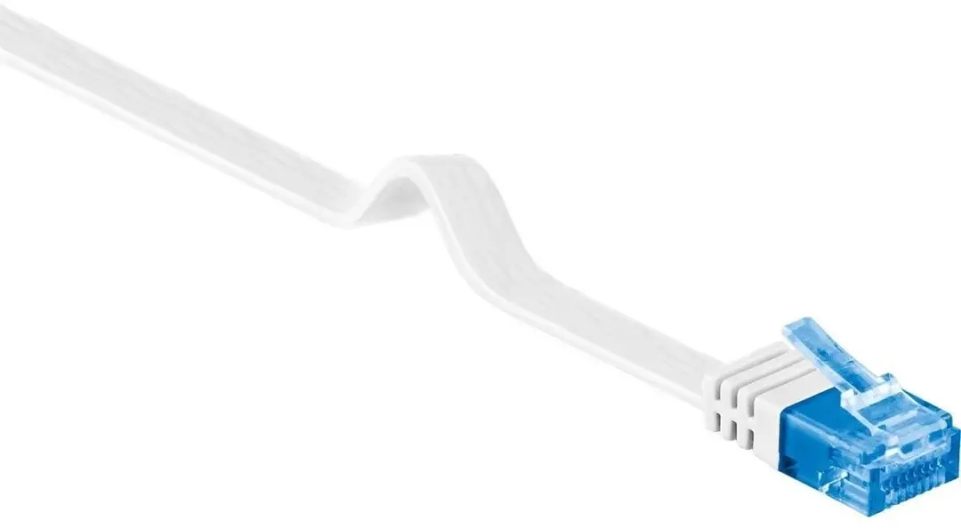 Goobay CAT6A Netwerkkabel RJ45
