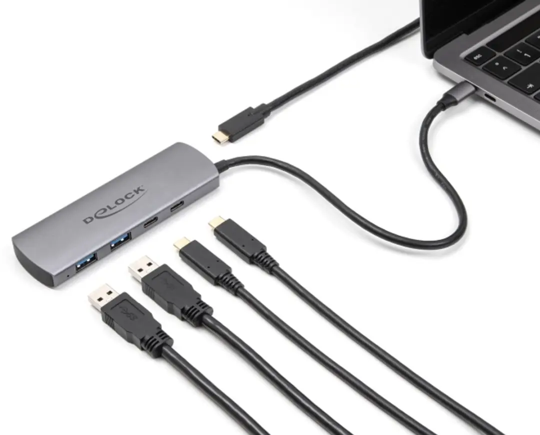 Delock 64299 USB Hub 10 Gbps - 2x USB-A + 2x USB-C Grijs