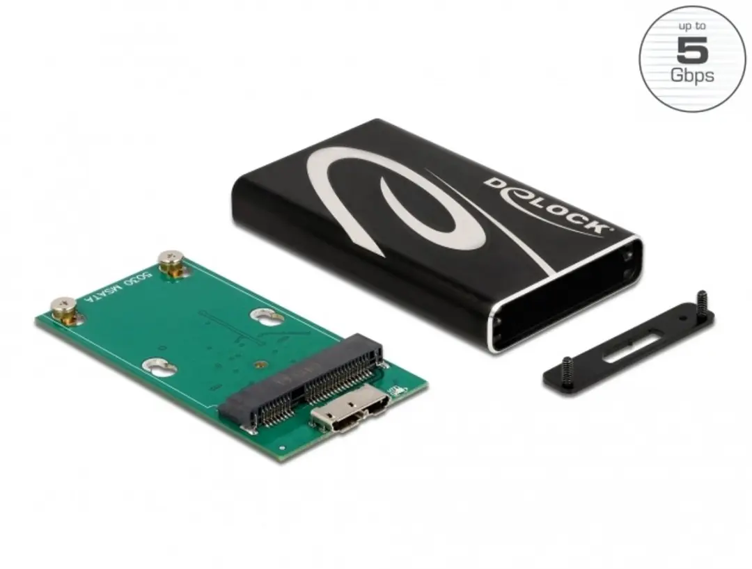 Delock External Enclosure voor mSATA SSD