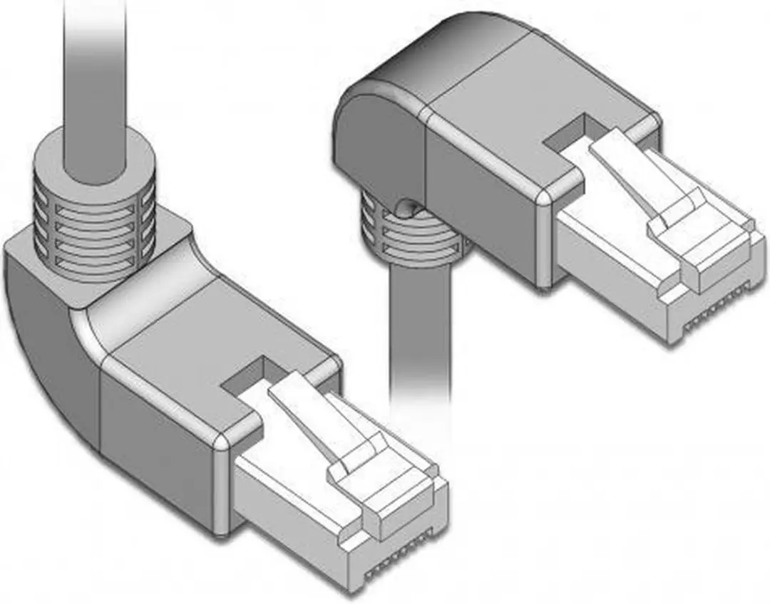 Delock S/FTP CAT6a Netwerkkabel 10Gbps - 2m - Grijs