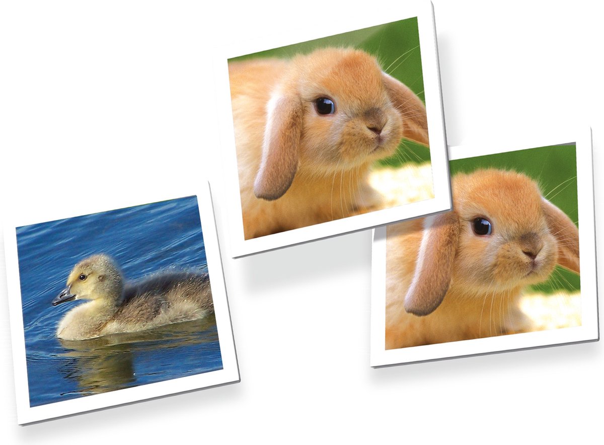 Tactic Memory - Kaartspel - Memo - Babydieren